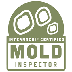mold-inspector-logo-1546019081.